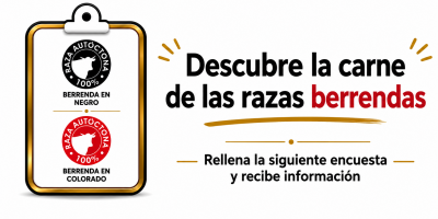 webcarneberrendas